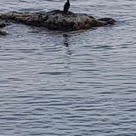 Beautiful Naxos House *