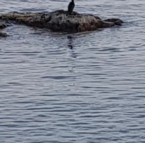 Beautiful Naxos House *